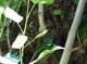 07.12.2011.23.07photo.JPG