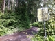 I: Blind Corner