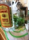 Steeping the chopped root and leaves.
