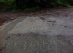 Bridge 2