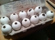 Eggshells packed to the brim with seeds.