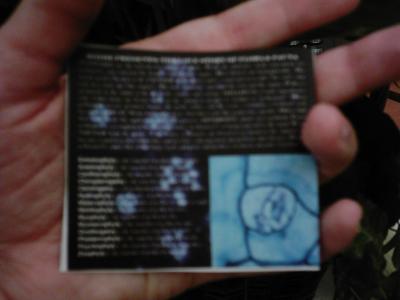 back of card