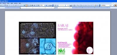 the document