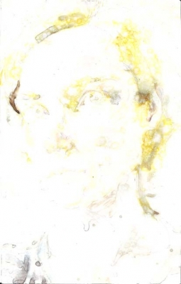 albescelf6.jpg