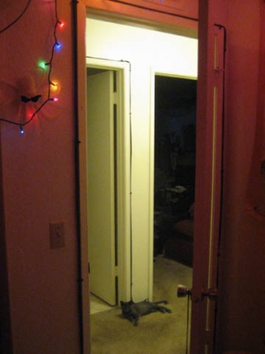 Doors doors doors