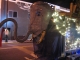 Peanut Elephant