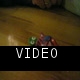 there was also a turtle!