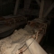 conveyor belt