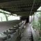 conveyor belt