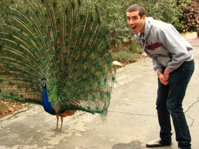 That's not disdain. That's playing hard to get.