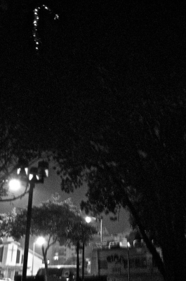 My Candycane ornament!