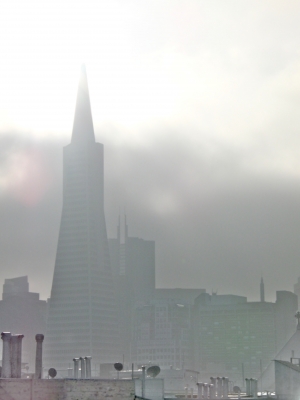 Misty Morning Rooftop Misty Morning Rooftop