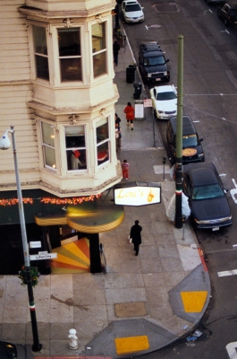 People Like Cow Ants People Like Cow Ants