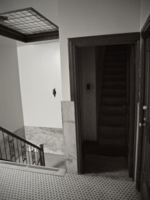 What's This? What's This?