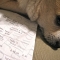 Pooch with Receipt