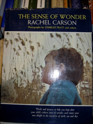 Holding wonder like a cup.