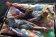 08 lounging.jpg