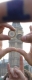 Big Ben take 1