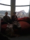 Drinking tea by the window
