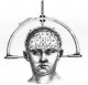 Craniometer!