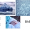 Ice Ice Baby