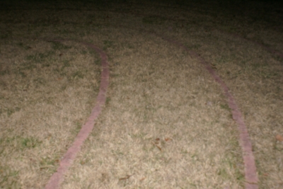 DSC01338.JPG
