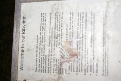 DSC01350.JPG