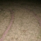 DSC01338.JPG