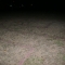 DSC01342.JPG