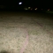 DSC01346.JPG