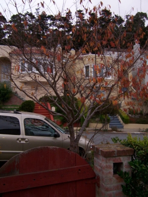 1of10.jpg