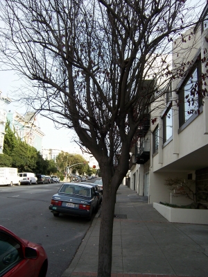 4of10.jpg