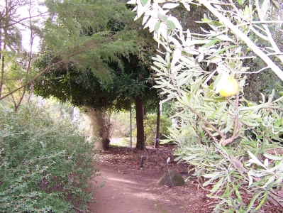 8of10.jpg