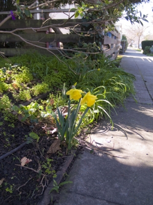 A Brightly Colored Marker  A Brightly Colored Marker