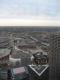 The View Out