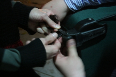 Senator Unit's Hairy Wheels