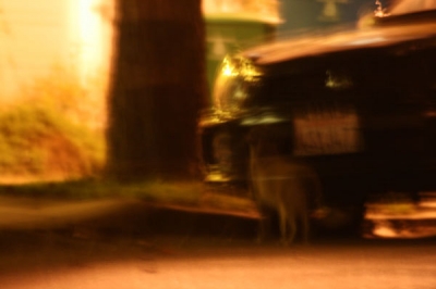 ao: Mr. Night-Kitty ao: Mr. Night-Kitty