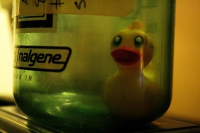 rubber ducky