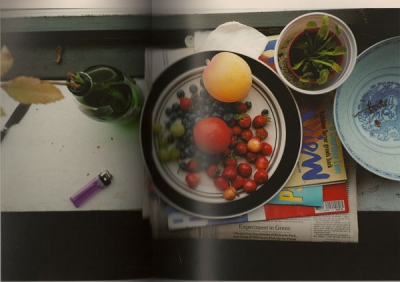 Wolfgang Tillmans' 'Summer Still Life', 1995
