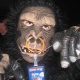 25_floss-gorilla.jpg