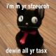 38_floss-cyber-kitty.jpg
