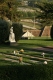 rolling hills of graves...