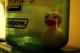 rubber ducky