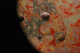 lefttorightnolights.gif