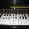 fortune on piano keys