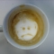 sad coffee.