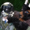 DSCN1344.JPG