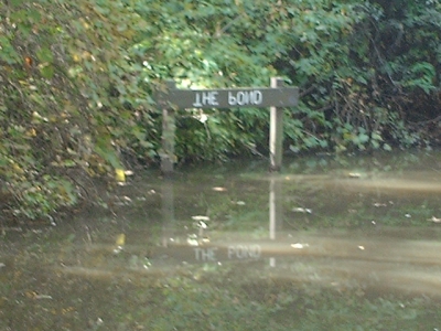 The Pond