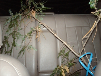 In a car