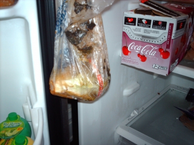 IMAG1217.JPG